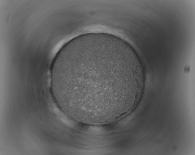 X0000111051509200906251421