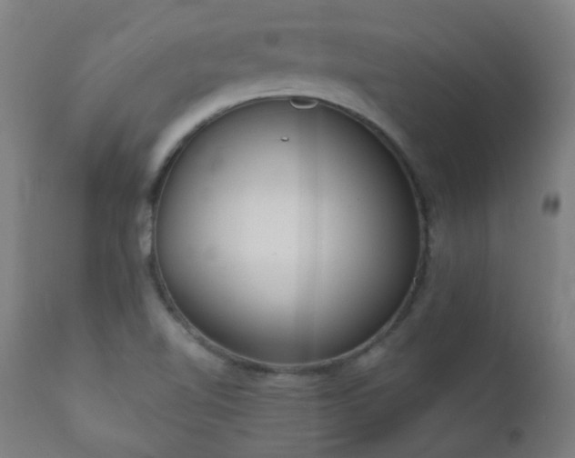 X0000111051510200906251421