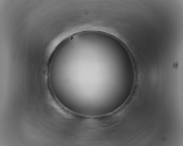 X0000111051511200906251421