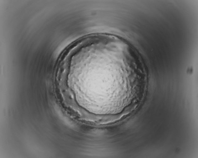 X0000111051513200906251421