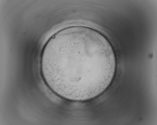 X0000111051514200906251421