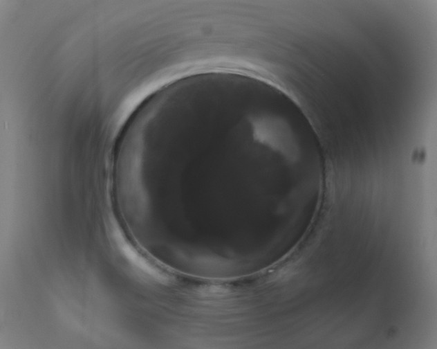 X0000111051515200906251421