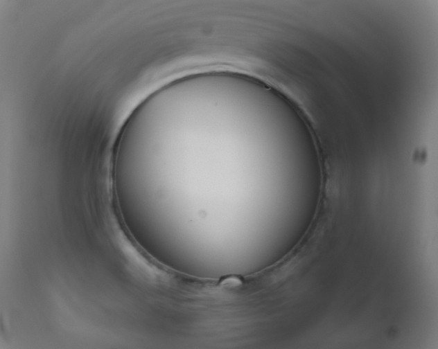 X0000111051516200906251421