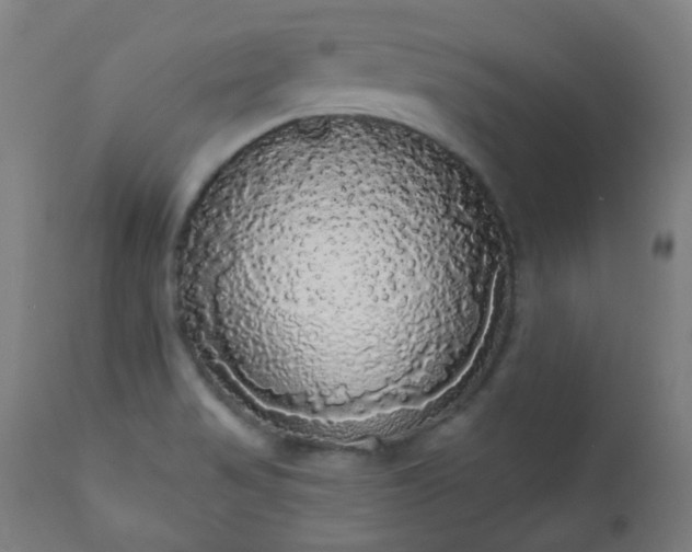 X0000111051517200906251421