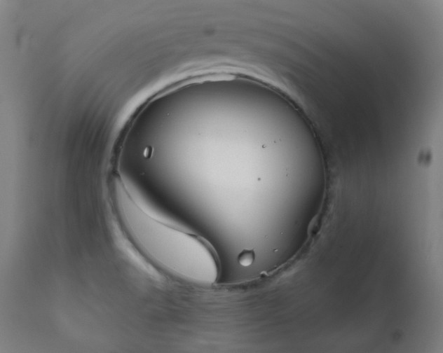X0000111051518200906251421