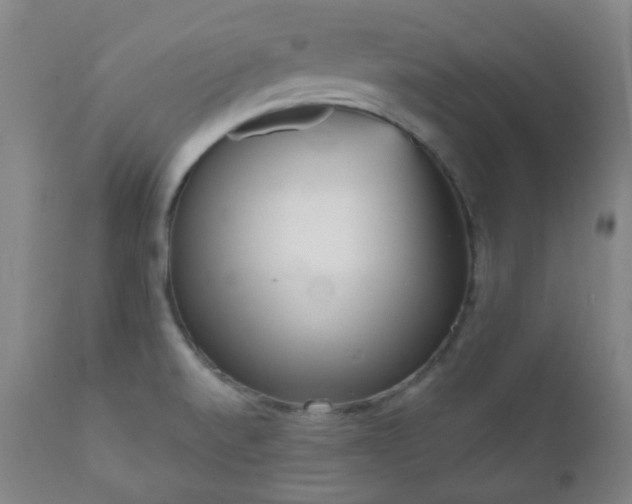 X0000111051520200906251421