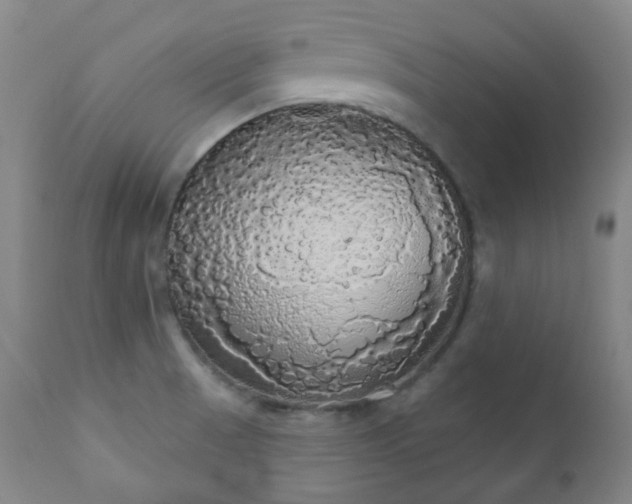 X0000111051521200906251421