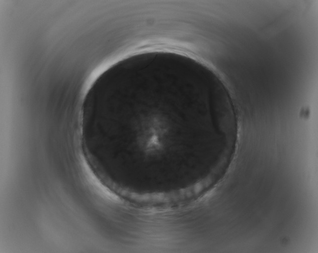 X0000111051522200906251421