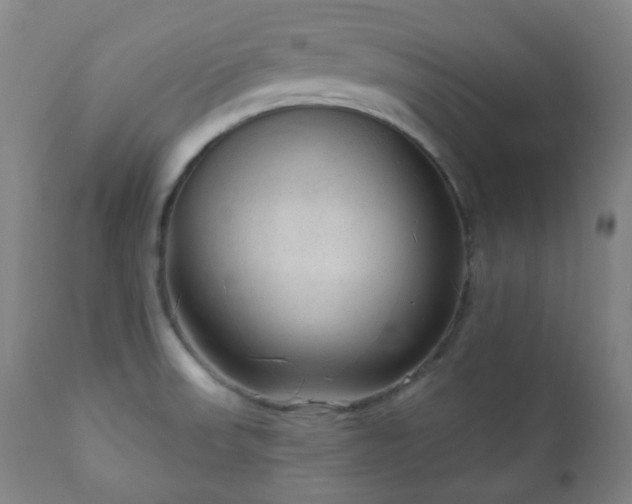 X0000111051523200906251421