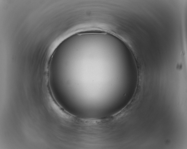 X0000111051524200906251421
