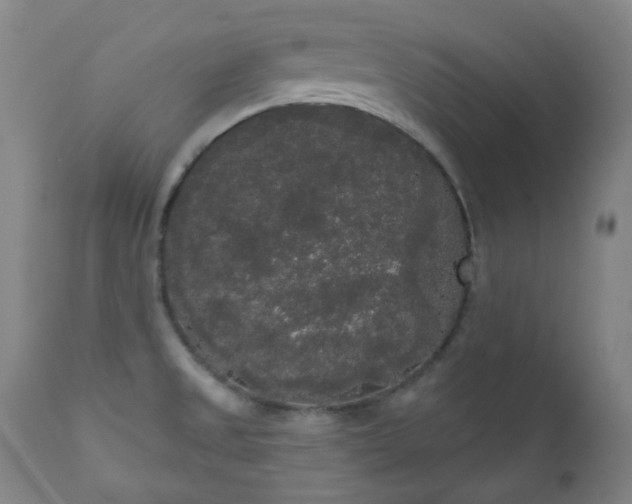 X0000111051525200906251421