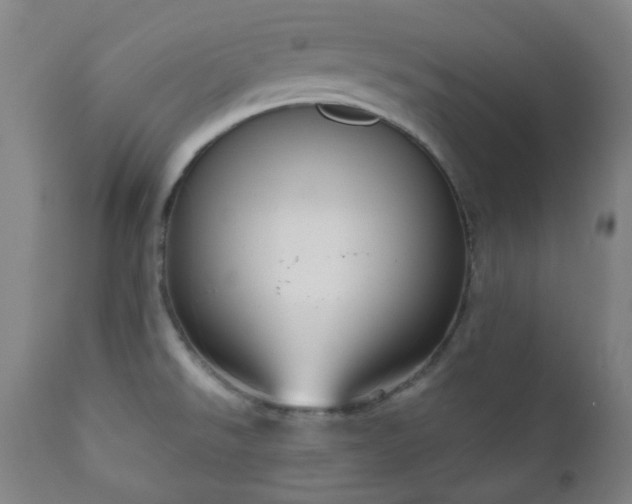 X0000111051526200906251421