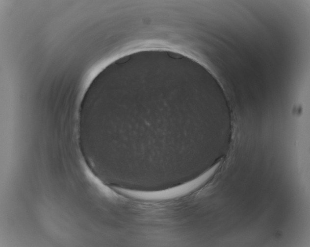 X0000111051527200906251421