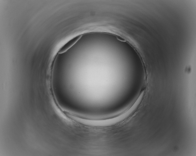 X0000111051528200906251421