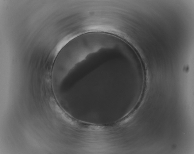 X0000111051529200906251421