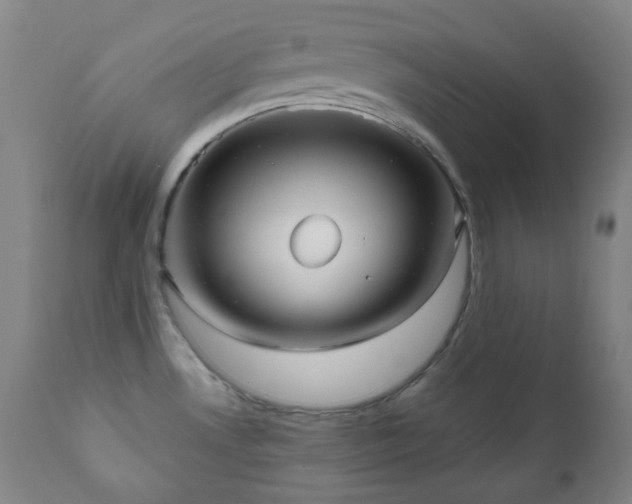X0000111051530200906251421