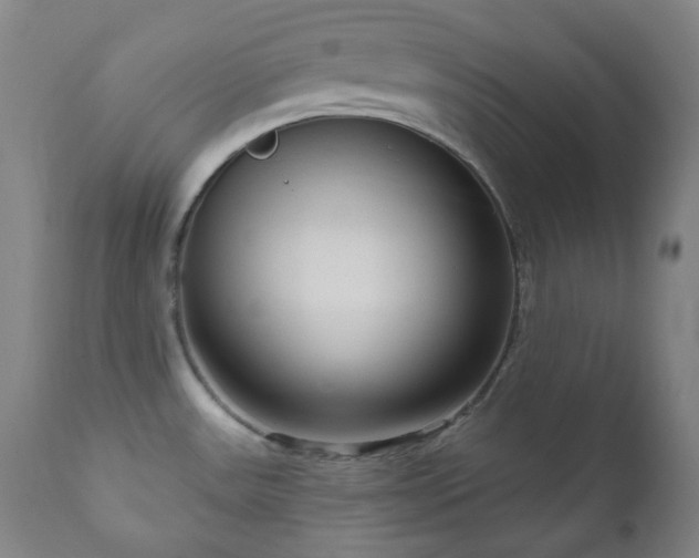 X0000111051531200906251421