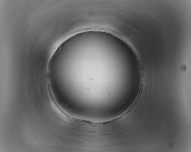 X0000111051532200906251421