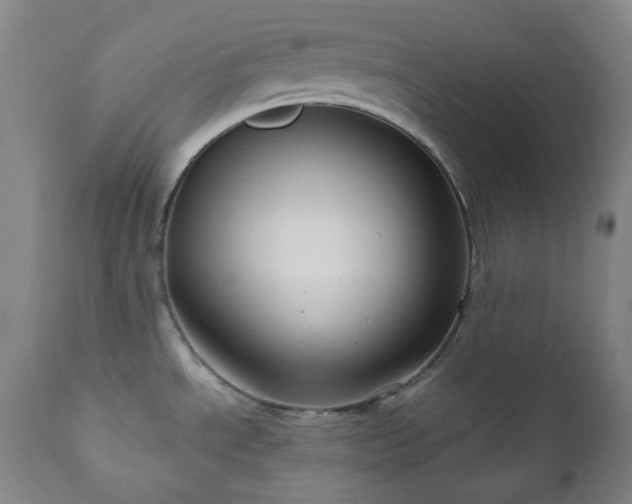 X0000111051534200906251421