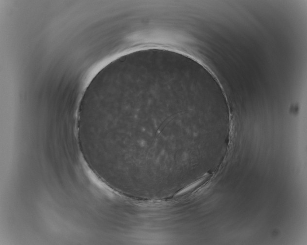 X0000111051535200906251421