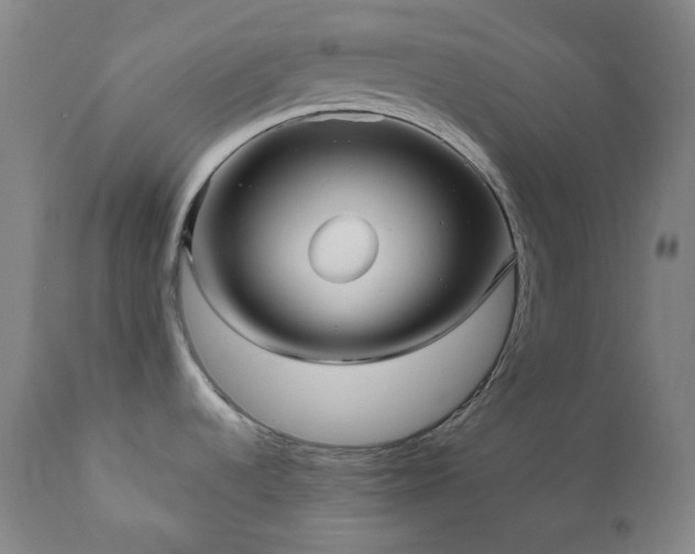 X0000111051536200906251421