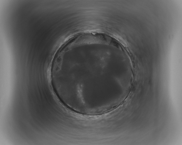 X0000111050002200907021629