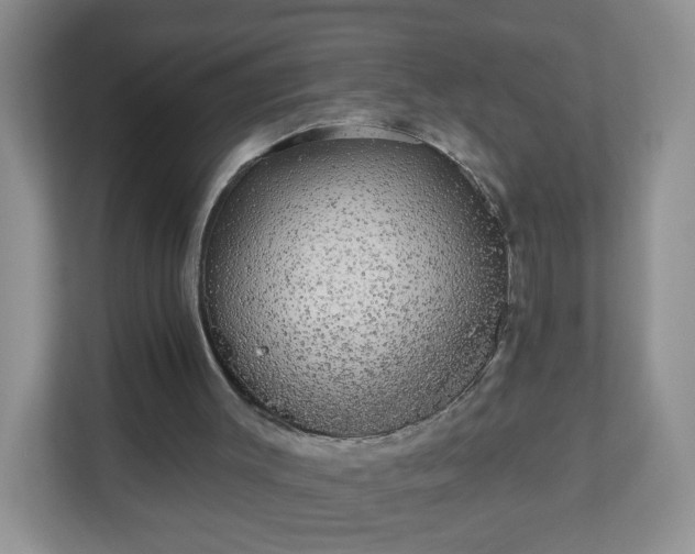 X0000111050003200907021629