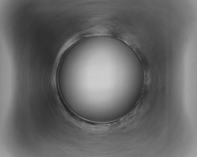 X0000111050004200907021629