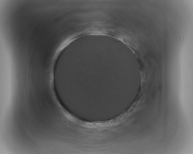 X0000111050005200907021629