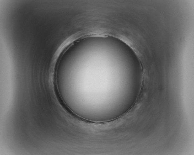 X0000111050007200907021629