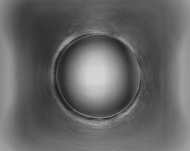 X0000111050008200907021629