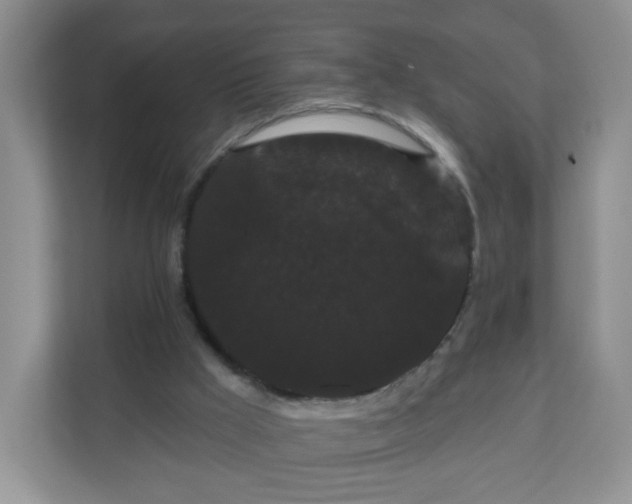 X0000111050009200907021629