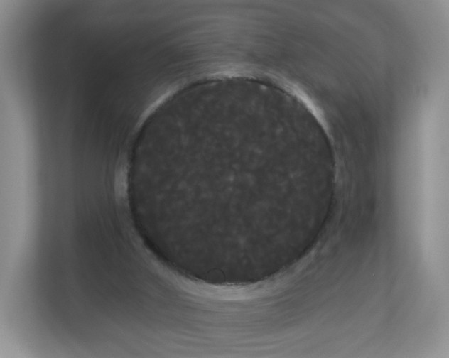 X0000111050010200907021629