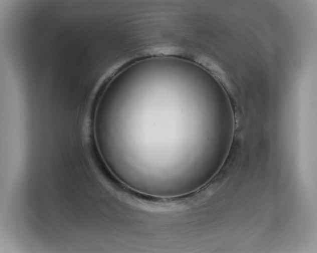 X0000111050012200907021629