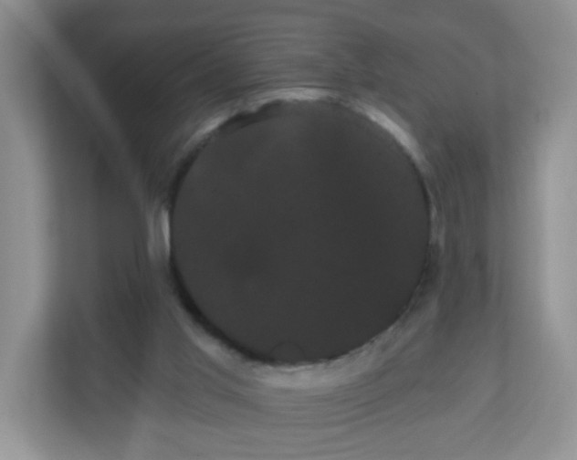 X0000111050013200907021629