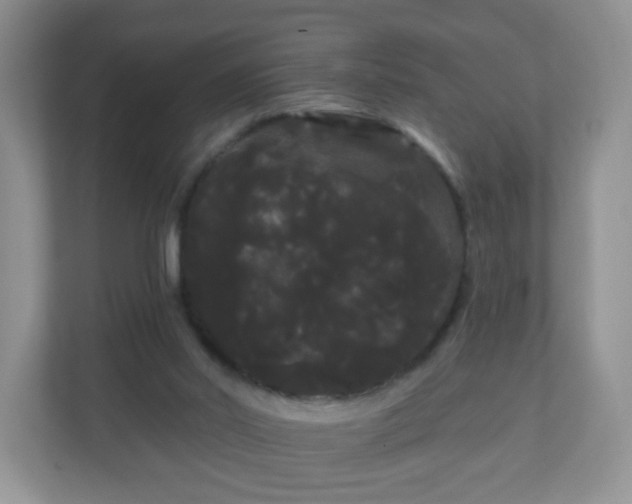 X0000111050014200907021629