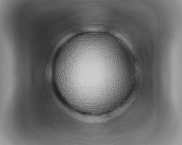 X0000111050016200907021629