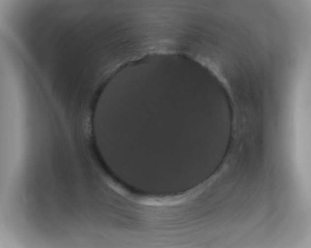 X0000111050017200907021629