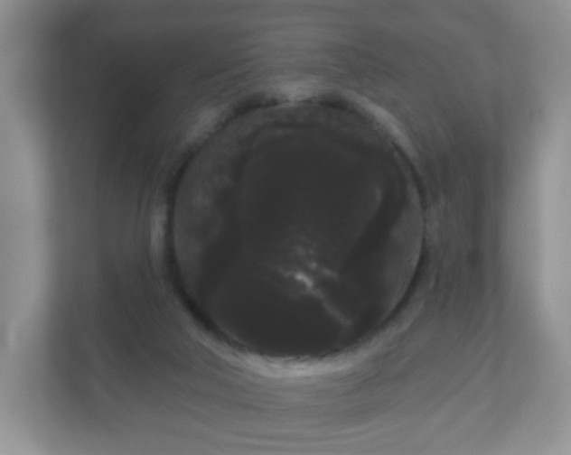 X0000111050018200907021629