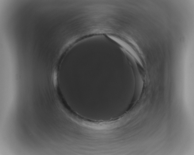 X0000111050019200907021629