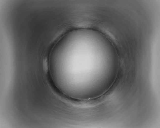 X0000111050020200907021629