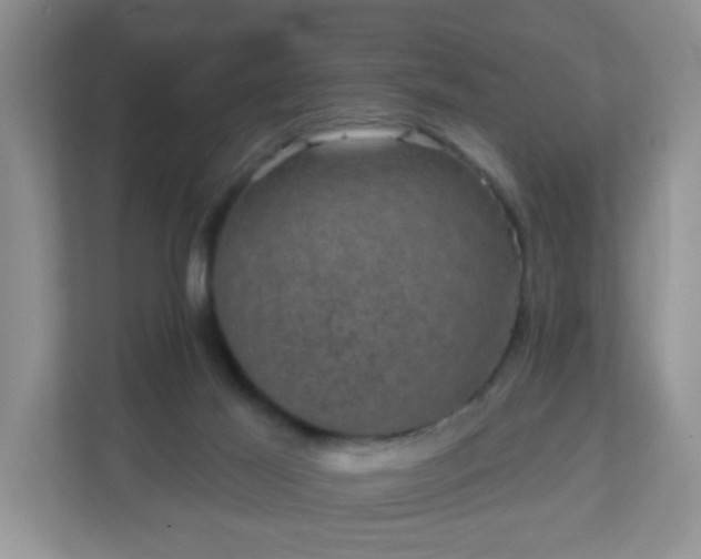 X0000111050021200907021629