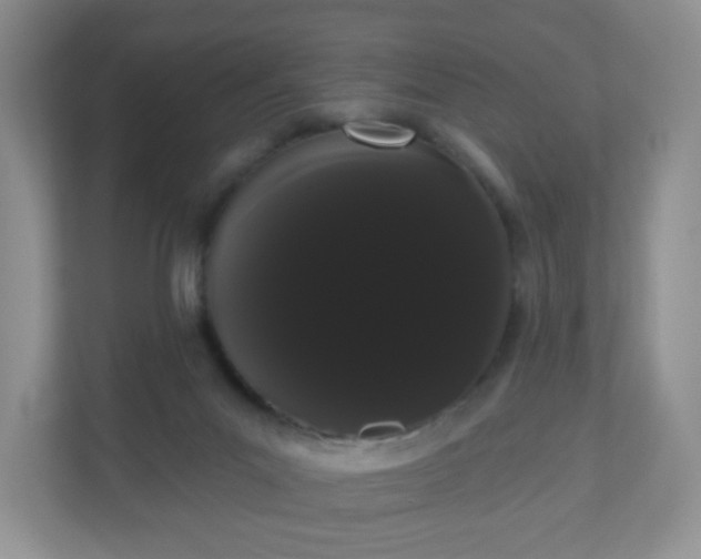 X0000111050023200907021628