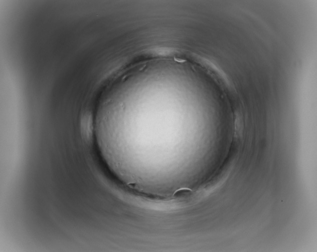 X0000111050024200907021628