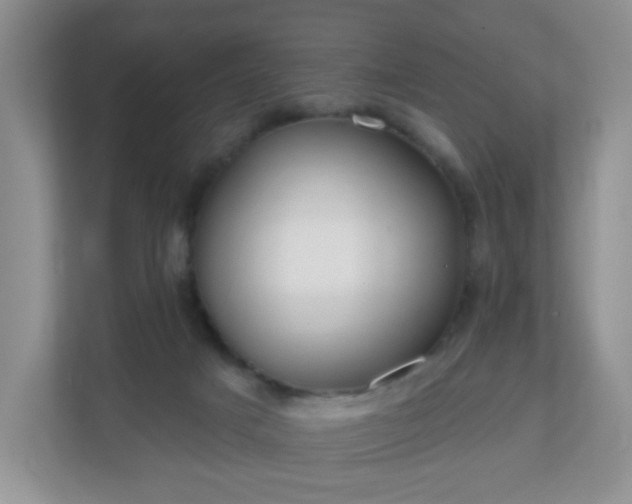 X0000111050025200907021628