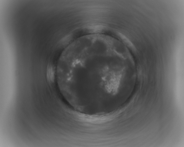 X0000111050026200907021628