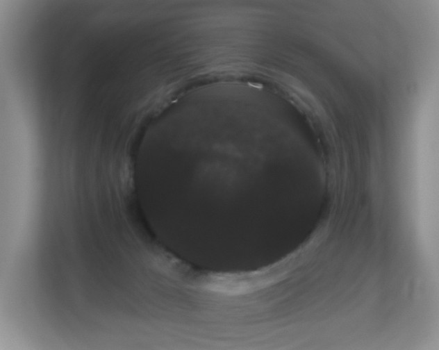 X0000111050029200907021628