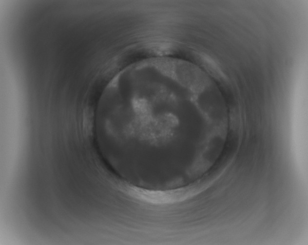 X0000111050030200907021628