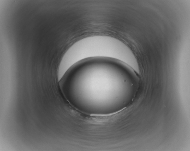 X0000111050033200907021628