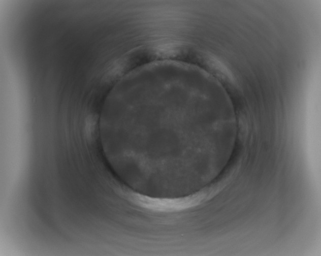 X0000111050034200907021628